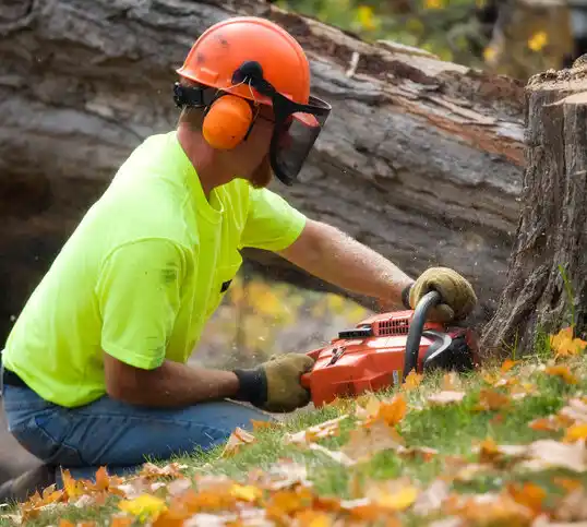 tree services Port Jervis